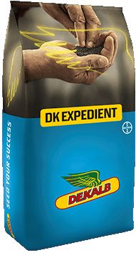 DK EXPEDIENT min