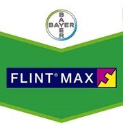 Flint max