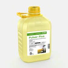 pulsar plus