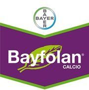 Bayfolan Calcio