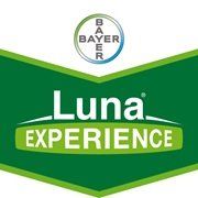 Luna Experience.jpg