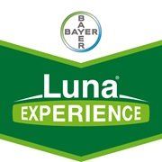 Luna Experience