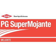 pg supermojante