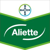 Aliette