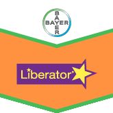 liberator