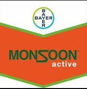 Monsoo Active