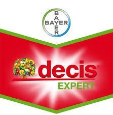 Decis expert