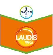 LaudisWG.