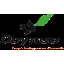 daymsa