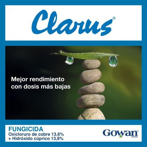 clarus