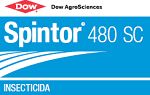 Spintor48