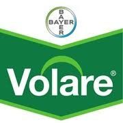 Volare