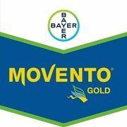 movento gold