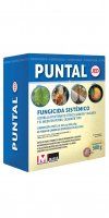 PUNTAL