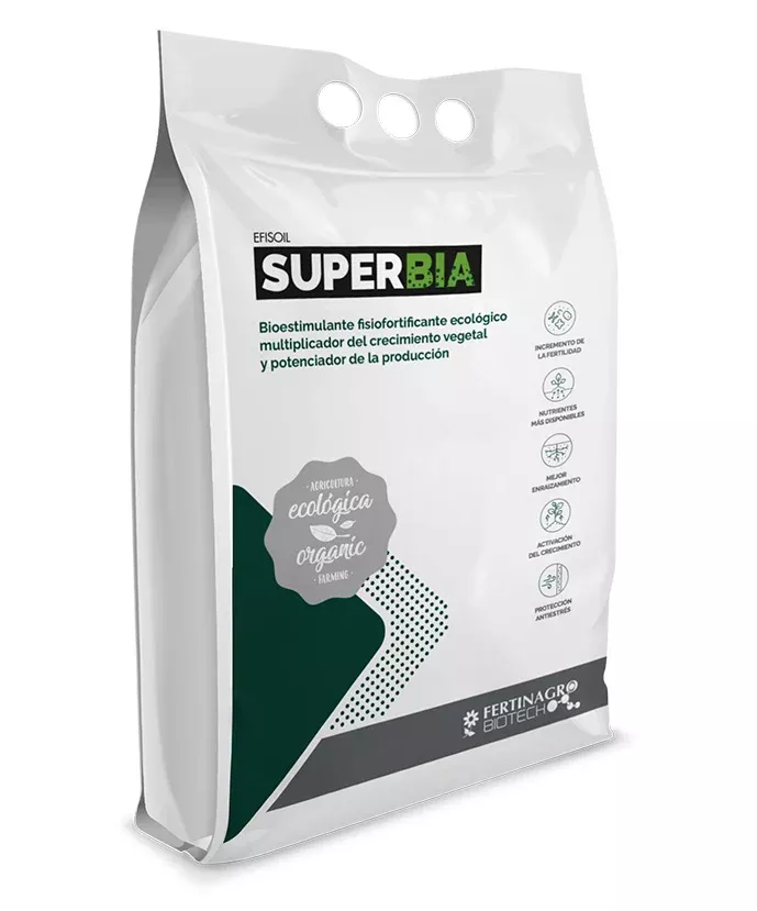 Superbia